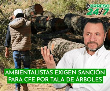 Ambientalistas exigen sanción para CFE por tala de árboles