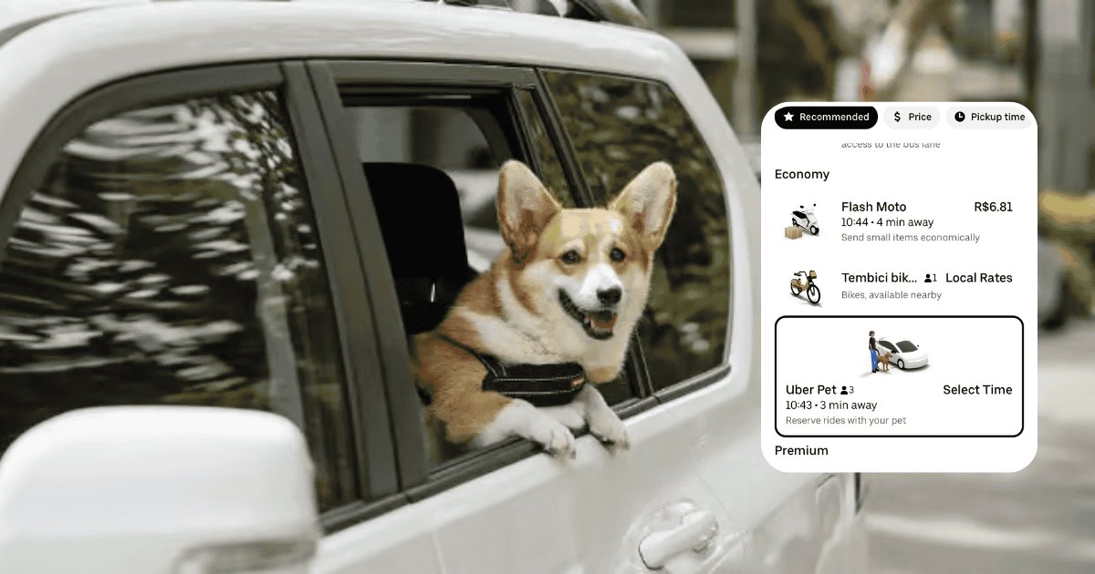 Llega Uber Pet a México; ya podrás viajar con tu perro o gato