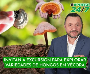 Invitan a excursión para explorar variedades de hongos en Yécora