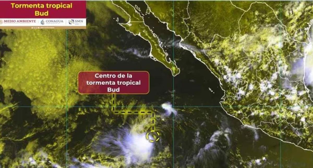 Bud ya es tormenta tropical; así sería su trayectoria