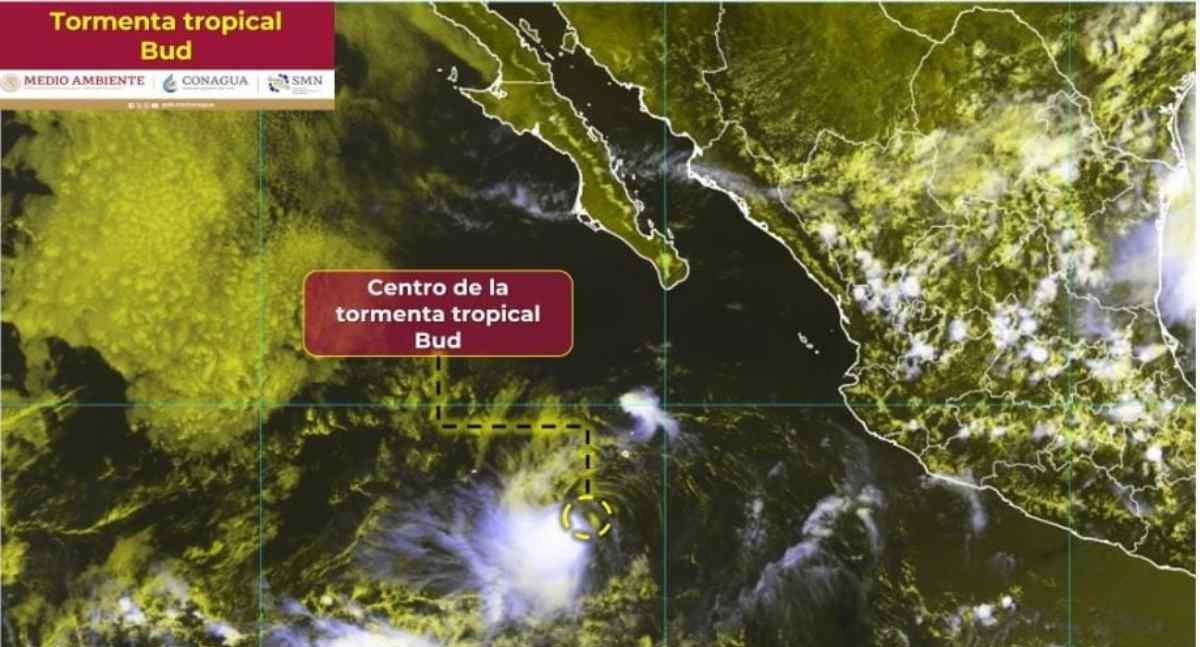 ¿Tormenta Tropical Bud dejará lluvias a Sonora?