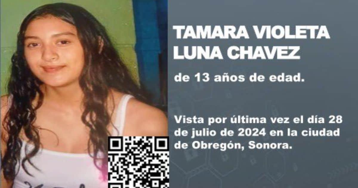 Activan Alerta Amber para localizar a Tamara Violeta, menor desaparecida