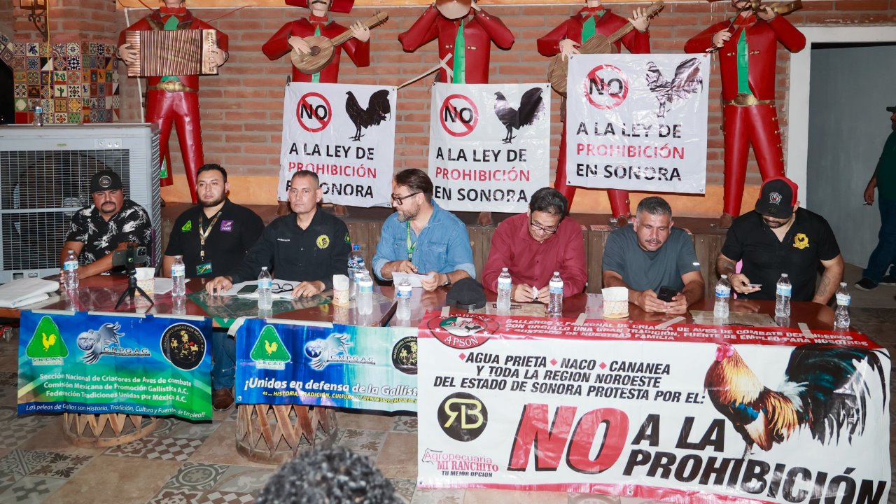 Galleros de Sonora se pronuncian contra la prohibición de peleas de gallos