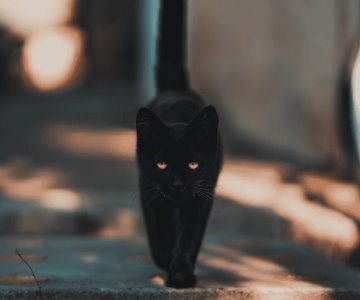 El martes 13: una superstición arraigada