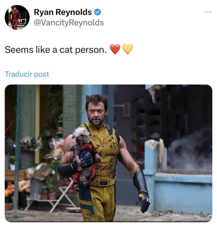 El peculiar perro que conquistó a Deadpool 3