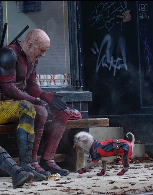 El peculiar perro que conquistó a Deadpool 3