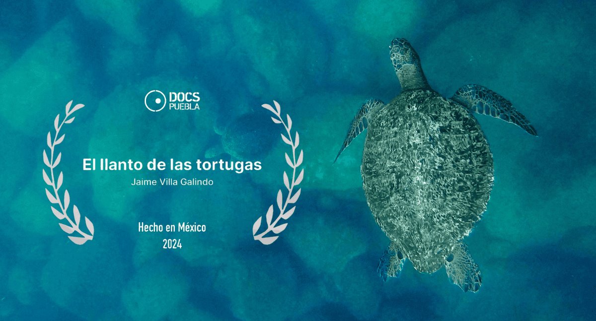 Documental sonorense gana premio en festival nacional de cine