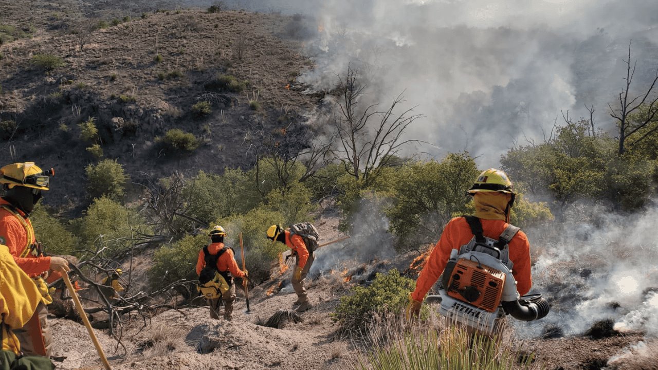 Sonora atraviesa el año con menos daños por incendios forestales desde 2009