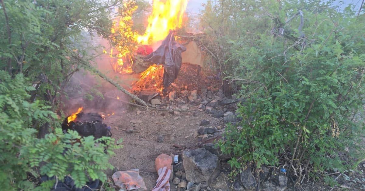 Desmantelan campamento clandestino en alrededores de Opodepe