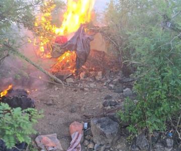 Desmantelan campamento clandestino en alrededores de Opodepe