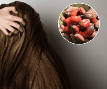 Este aceite hidrata el cabello, fortalece los folículos y mejora el brillo