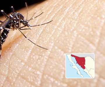 Dengue se extiende a dos nuevos municipios en Sonora