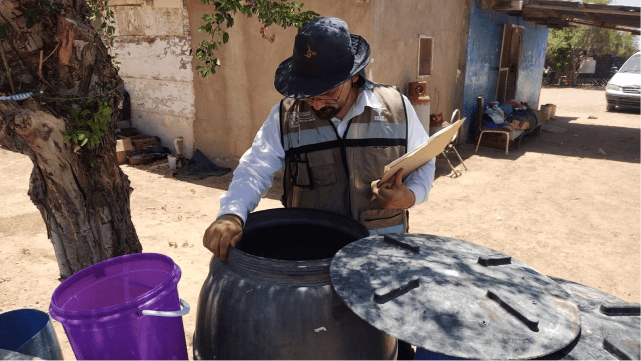 Aumentan casos de dengue durante septiembre y octubre en Sonora