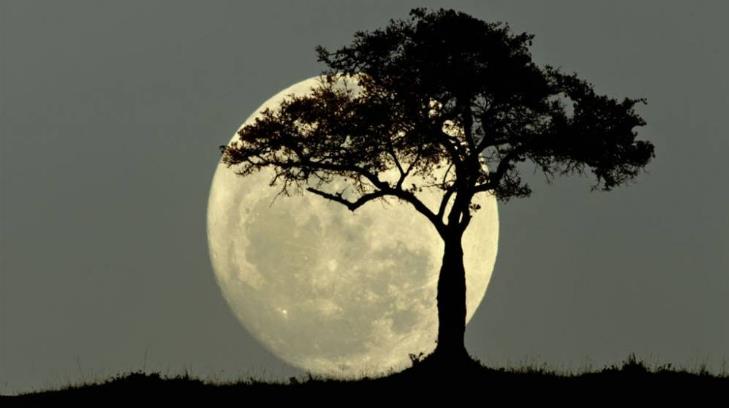 El mito de las lunas de octubre