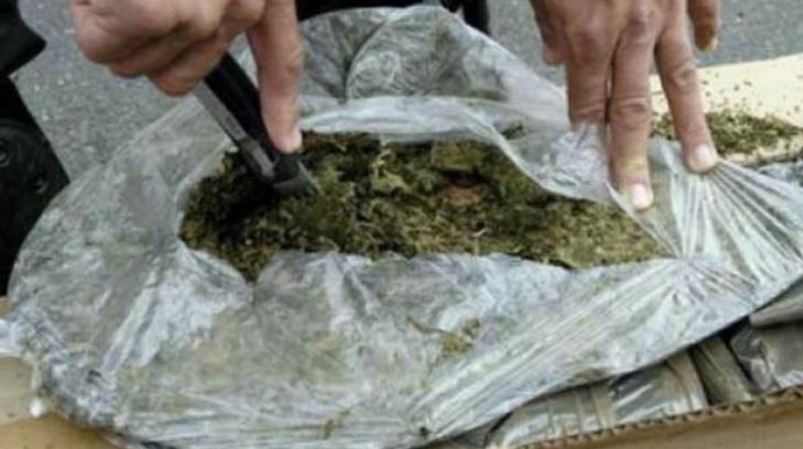 Asegura PGR más de 54 kilos de mariguana en un predio de Peñasco