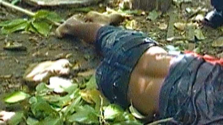 Muere hombre en Navojoa al caer de un árbol de aguacate