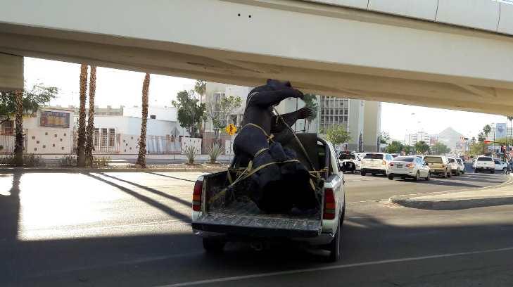 ¡Un oso de tres metros recorre las calles de Hermosillo!