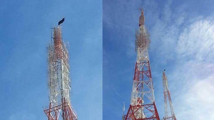 Aparecen banderas negras en antenas de Hermosillo