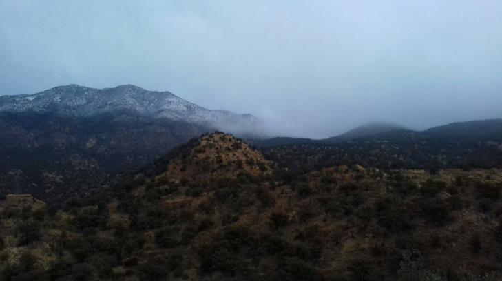 Protección Civil alerta ante la posibilidad de más nevadas en Sonora