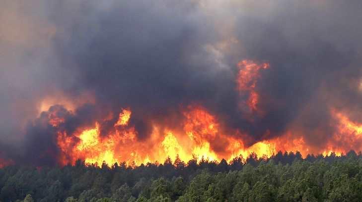 Conafor Sonora contará con 180 personas para atender incendios forestales