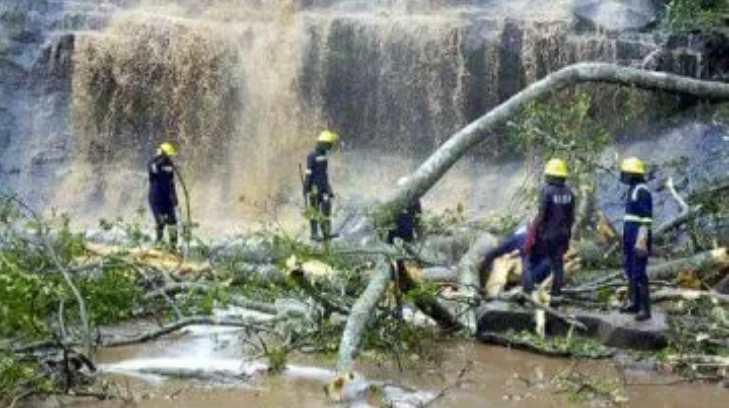 Un árbol cayó y dejó 20 muertos y decenas de heridos en unas cataratas de Ghana
