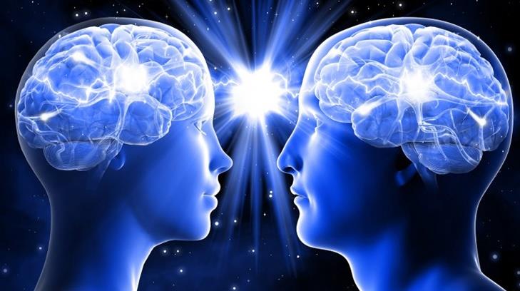 Diferencias entre cerebro de hombres y mujeres se reflejan en toma de decisiones