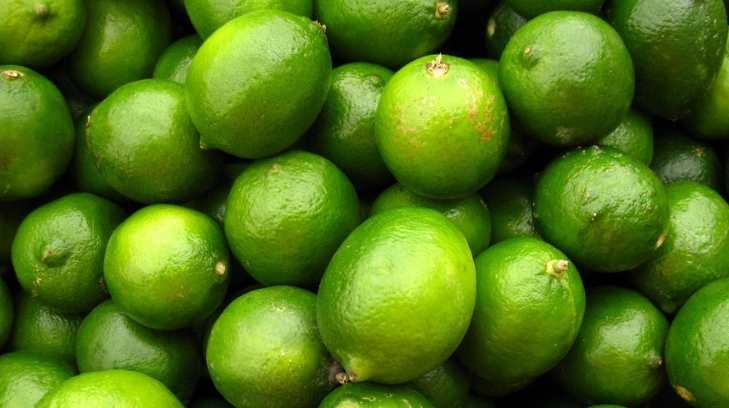 Cultivos de limón son atacados por una plaga llamada Trips