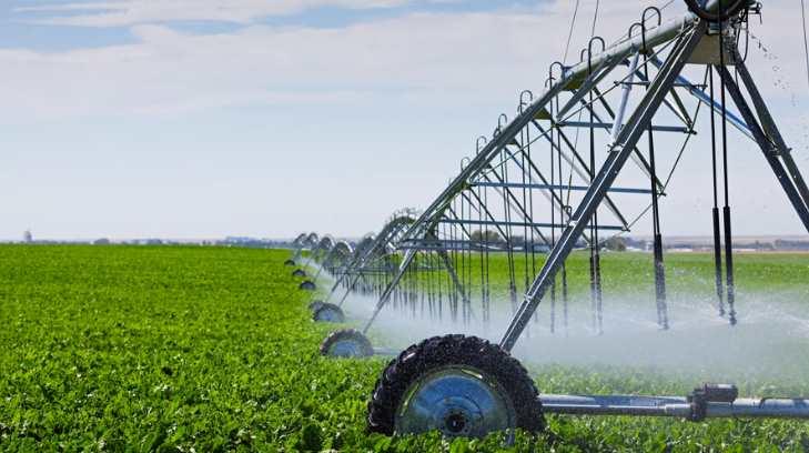 Prohibición del uso de plaguicidas beneficiará a los humanos, afirman ecologistas