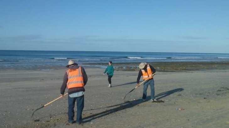 Fueron recolectadas 40 toneladas de basura en playas de Puerto Peñasco