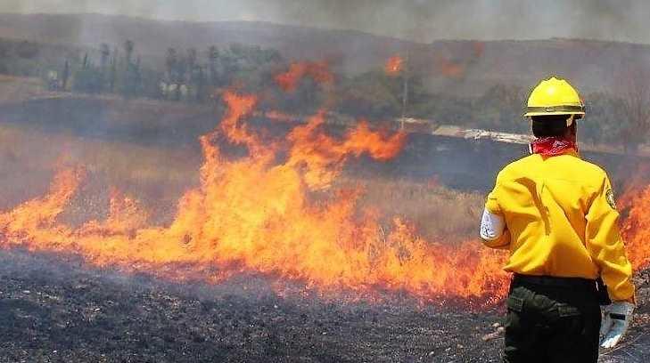 Evacuan más de 80 casas en Sonoyta por incendio forestal en Arizona y Sonora