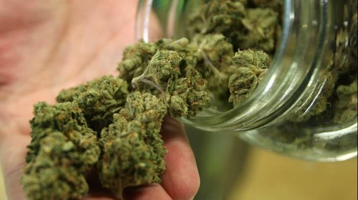 Diputados buscan avalar uso medicinal de mariguana