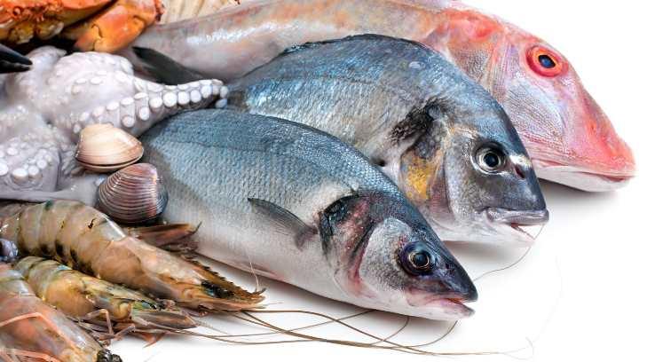 #Entérate Consumir pescado favorece y protege al corazón