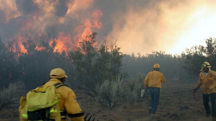 Incendios forestales han dañado más de 9 mil hectáreas en Sonora