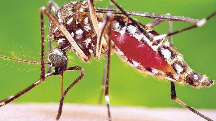 Van 199 casos de zika en el país; 70 son embarazadas