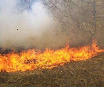 Hay cuatro brigadas oficiales para sofocar incendios forestales en Sonora