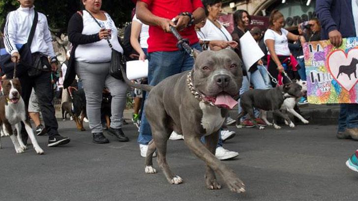 Perro ataca a hombre mientras camina por las calle de Nogales