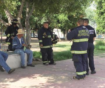 Mujer vive para contarla tras salvaje ataque de abejas en Villa Juárez