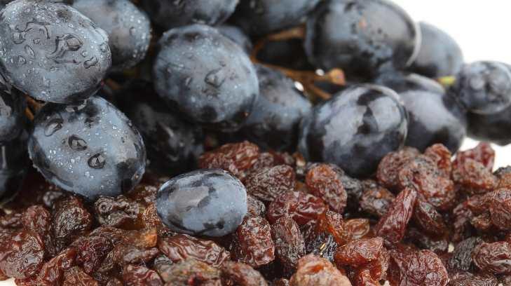 #Entérate Consumir uva pasa ayuda a reducir niveles de glucosa y presión arterial