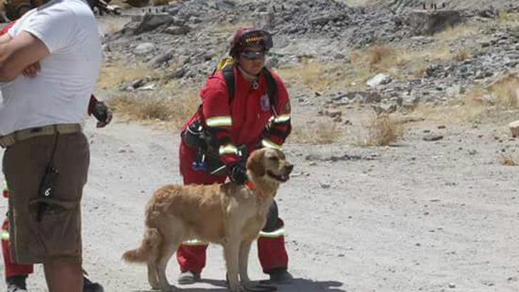 Instalarán un centro de entrenamiento para perros rescatistas en Hermosillo