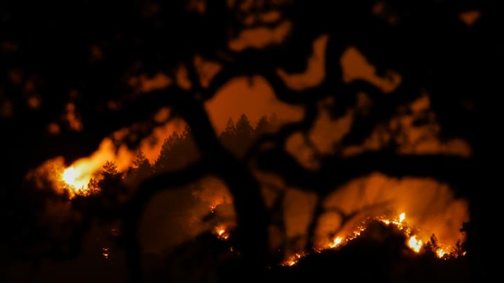 Pérdidas por incendios en California superan los mil mdd