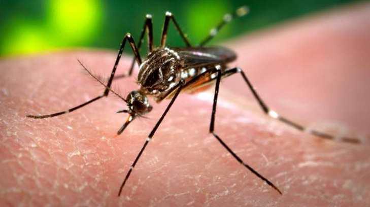Confirman tres casos nuevos de Zika en Hermosillo
