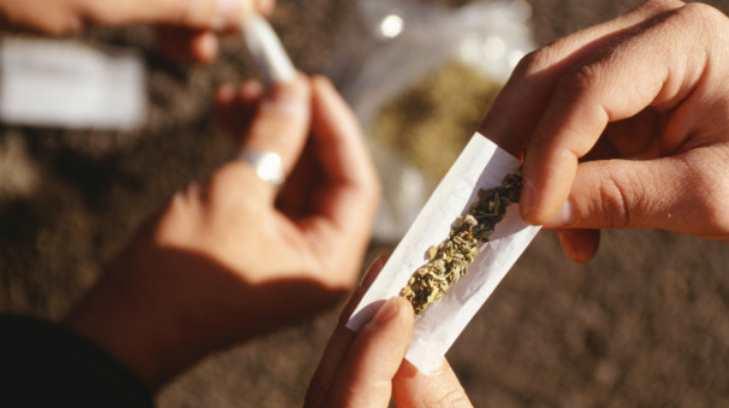 Usos de la marihuana deberán hacerse públicos: Inai
