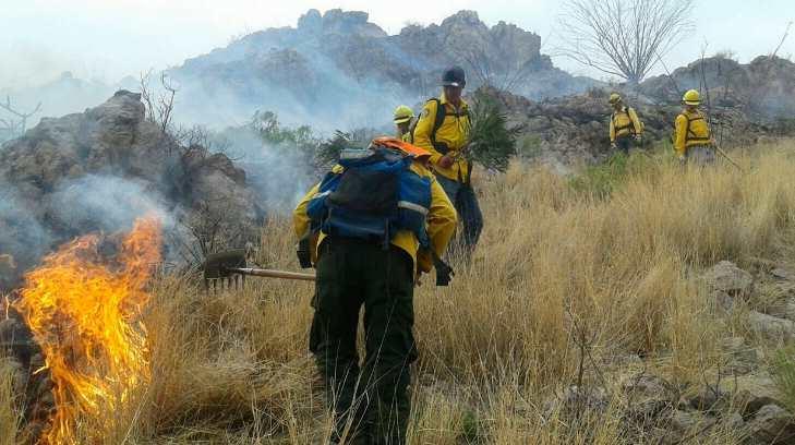 Registran dos incendios forestales en Sonora en la última semana