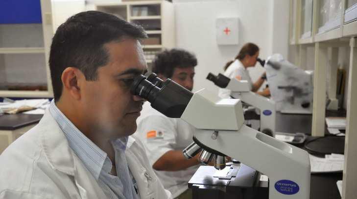 Especialistas de EU y Sonora buscan un diagnóstico específico para la rickettsia en la entidad