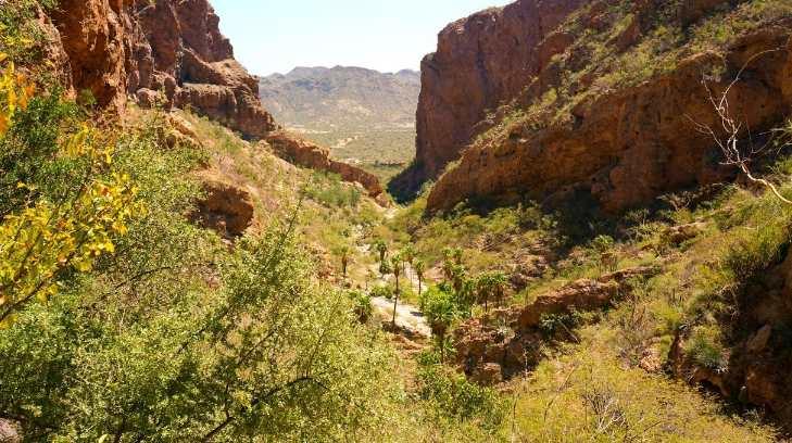 Sonora y Sinaloa colaboran para identificar restos encontrados en el Cañón del Nacapule