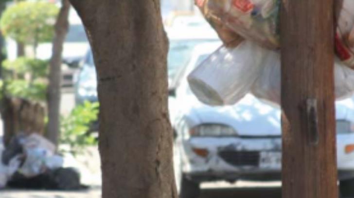 Esperan recolectar más de 8 toneladas de basura diariamente durante las Fiestas del Pitic