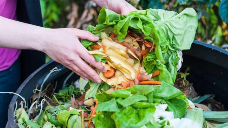 Hagamos conciencia del medio ambiente: CIAD invita a planificar nuestras comidas