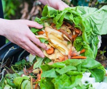 Hagamos conciencia del medio ambiente: CIAD invita a planificar nuestras comidas