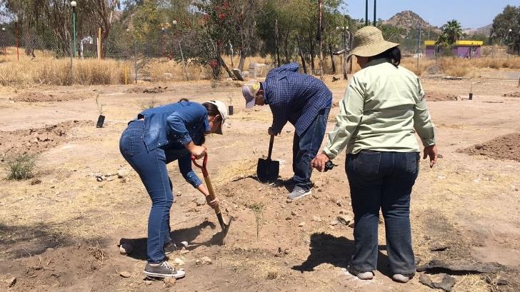GALERÍA | Plantarán 150 árboles en el humedal del parque La Sauceda