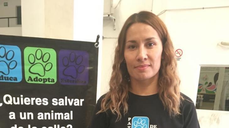 Entregan reglamento en contra del maltrato animal